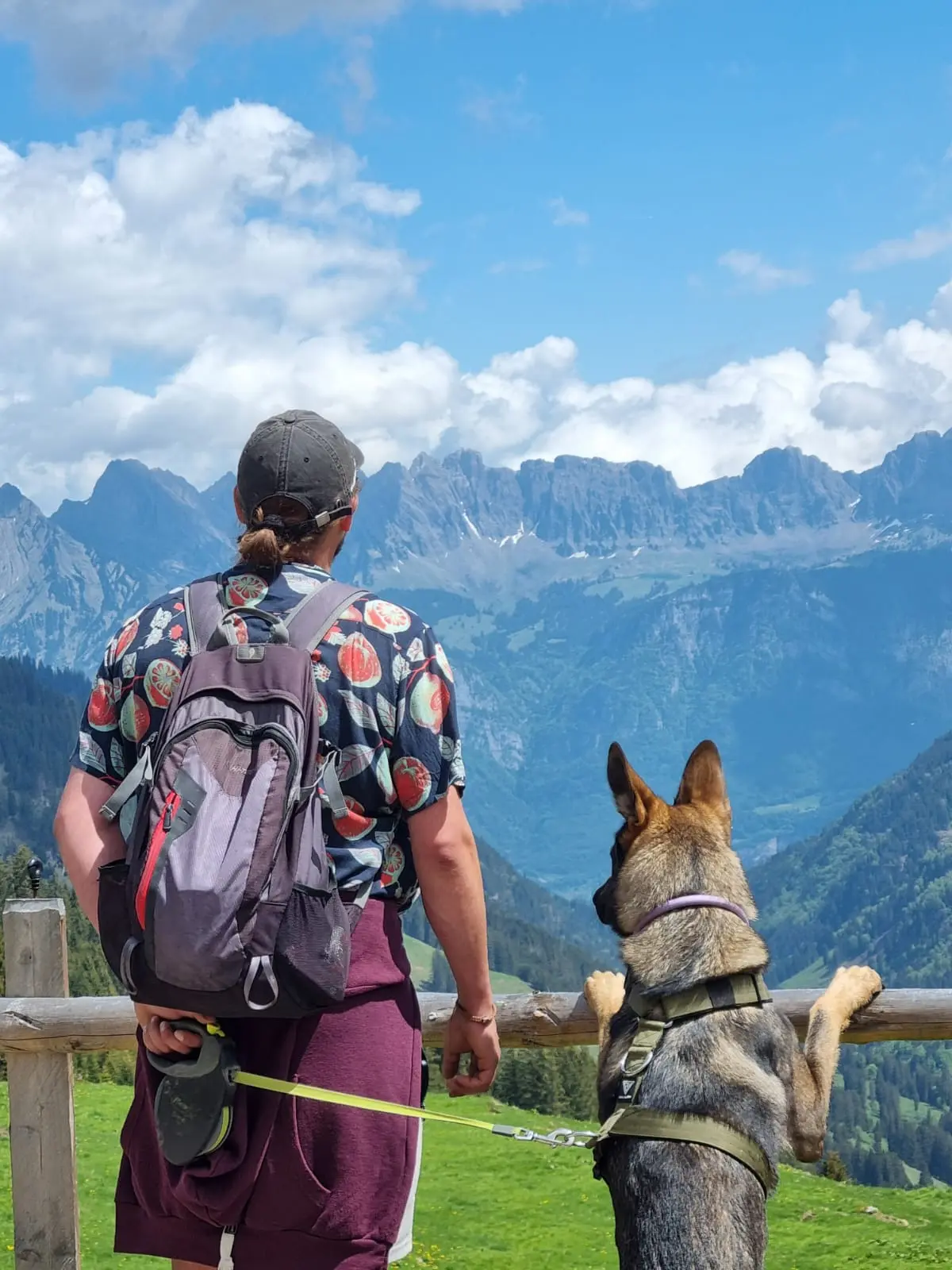 Człowiek i pies patrzący na góry